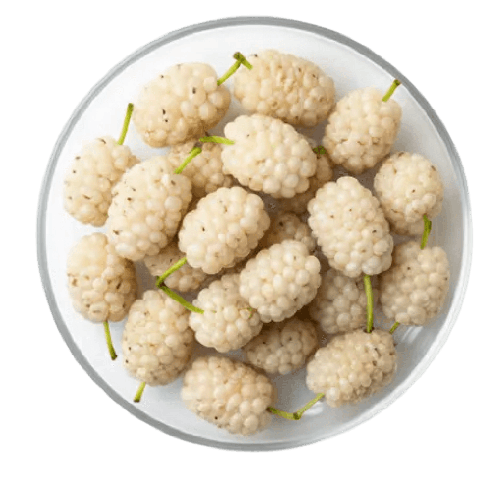 Mulberry extract