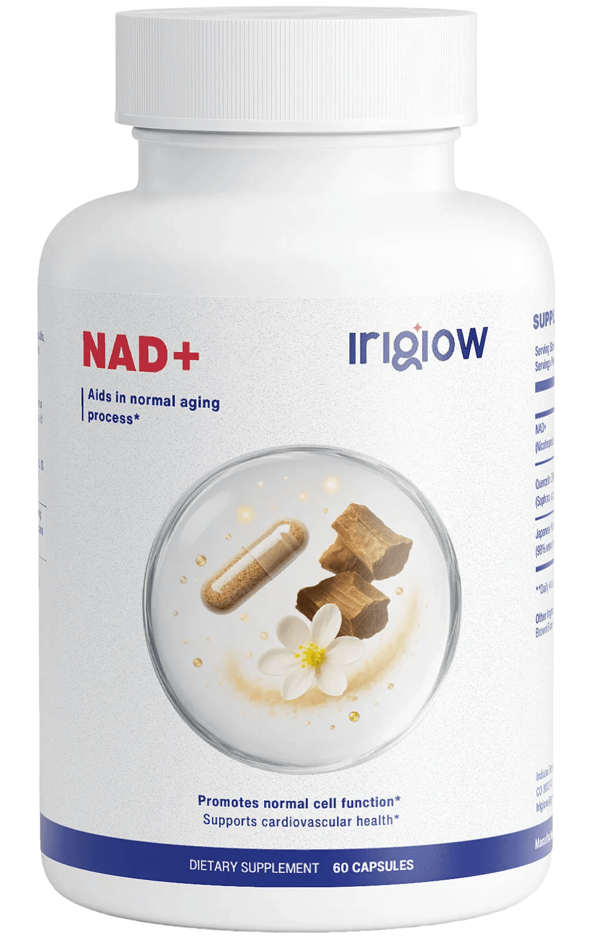 NAD+ Supplement